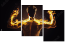 61751589