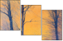61864050