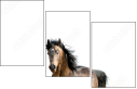 62618176