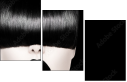 62623049