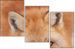 62758452