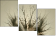 62822000