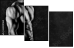 63490164