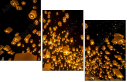 64122199