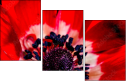 64202605