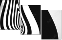 64228028