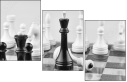 64265081
