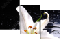 64347544