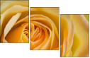 64954045