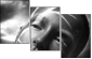 65561483