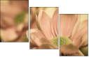 65771321