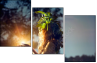 65958619