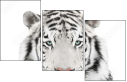 67172414