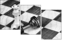 67855650