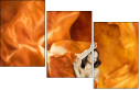 68781470