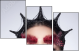 68880245