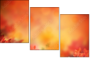 68917017