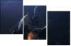 68921322