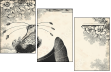 68960596