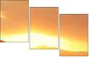 69150407