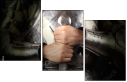 69546353