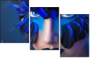 69641172