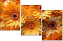 701850992