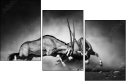 71412657