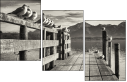 72072664