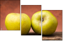 72103606