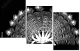 72971225