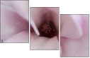 75397074