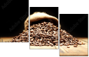 75743507