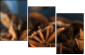78130865