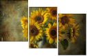 904593686