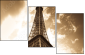 9077030