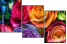 913577319