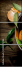 100395786