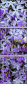 100402580
