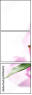 100964675