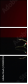 128050232