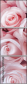 128745282