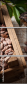 129146737