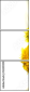 132593190