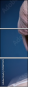 139671425