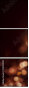 142120127