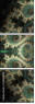 144040058