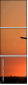 1443651