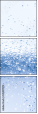 145099972