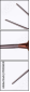 151036340